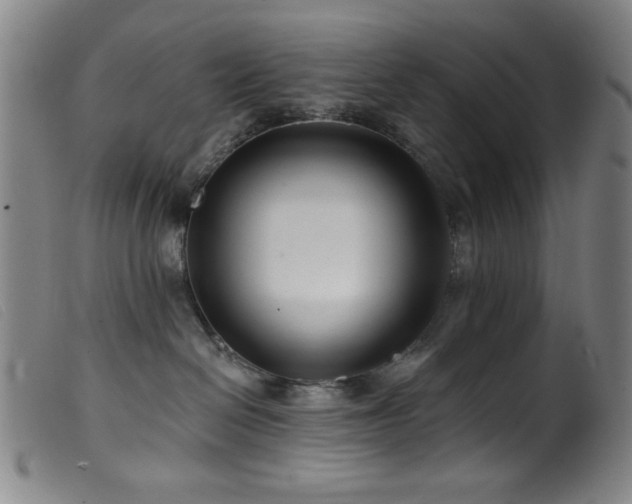 X0000099540286200805161435