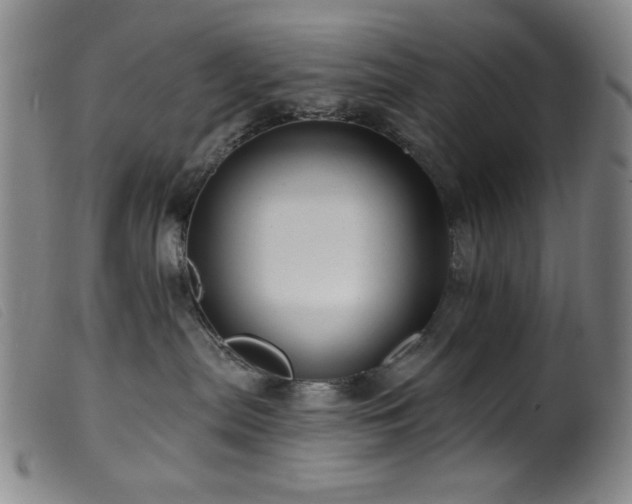 X0000099540287200805161435