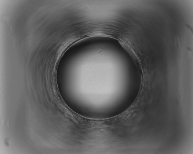 X0000099540289200805161434