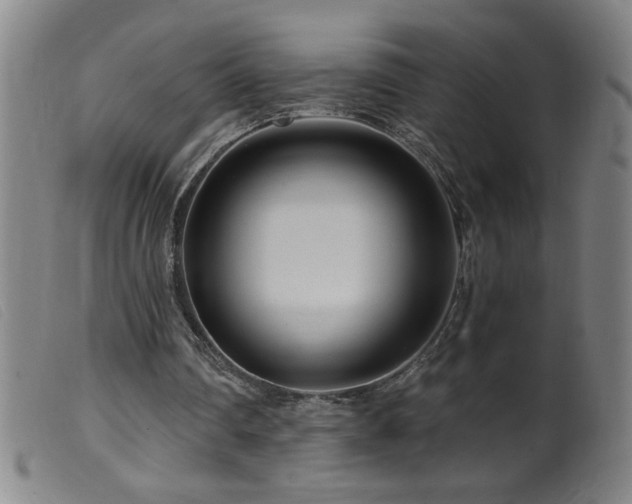 X0000099540290200805161434