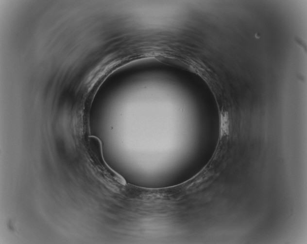 X0000099540291200805161434