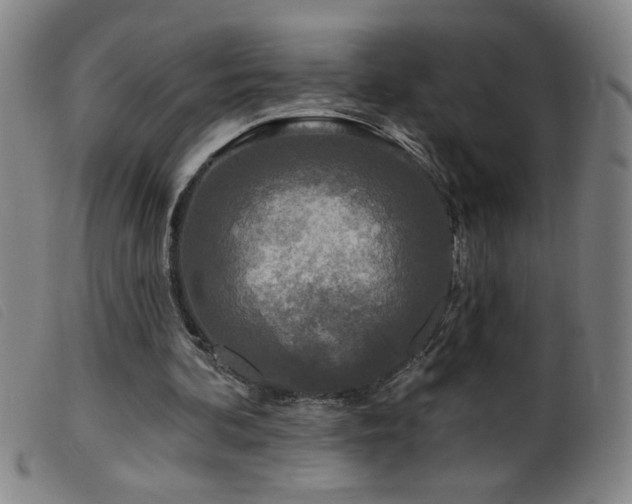 X0000099540292200805161434