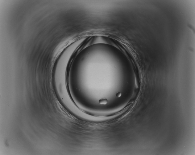 X0000099540293200805161434