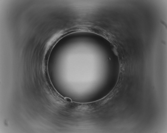 X0000099540294200805161434