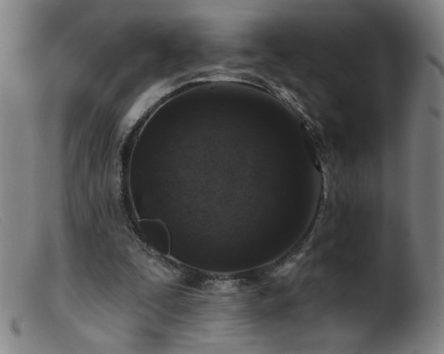 X0000099540295200805161434