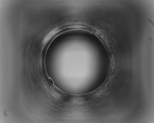 X0000099540296200805161434