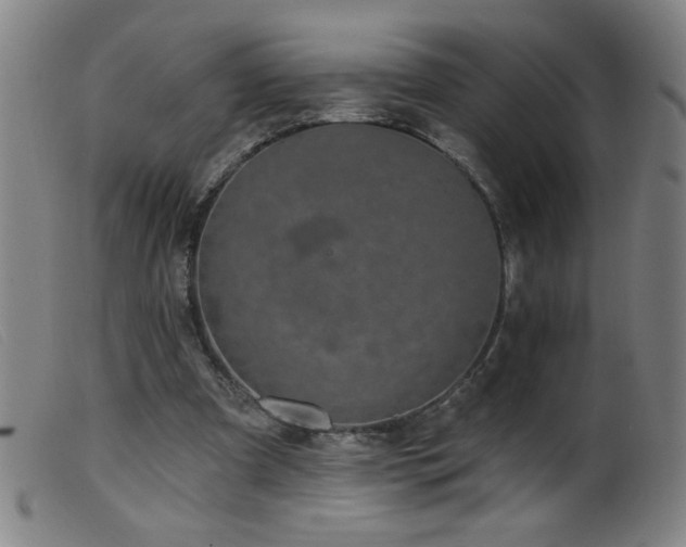 X0000099540297200805161434