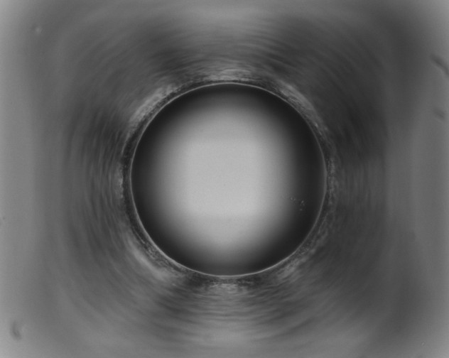 X0000099540298200805161434