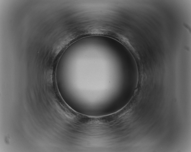 X0000099540299200805161434