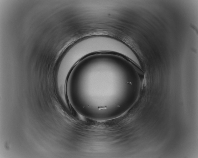 X0000099540300200805161434