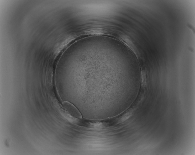 X0000099540301200805161434