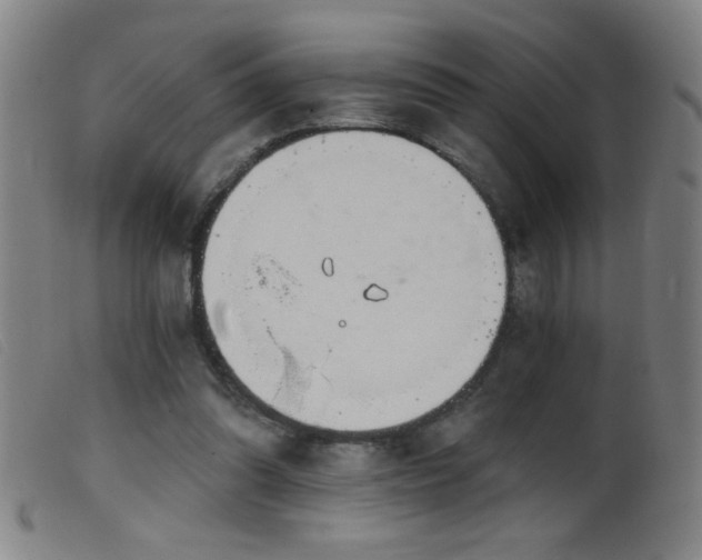 X0000099540302200805161434