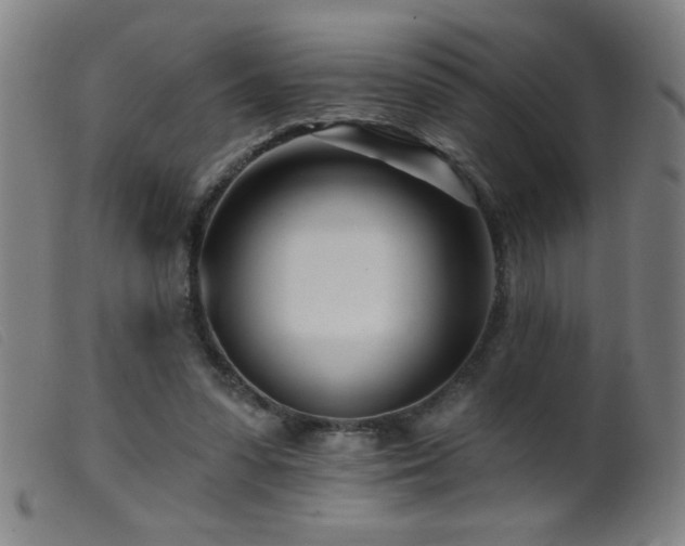 X0000099540303200805161434