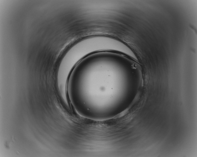 X0000099540304200805161434