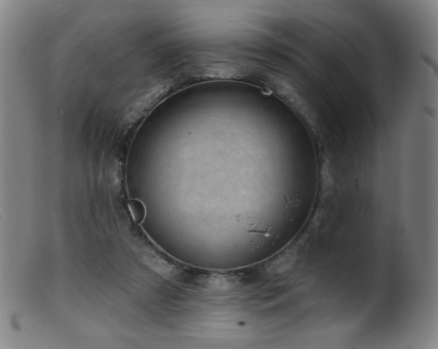 X0000099540305200805161434