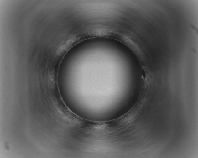 X0000099540306200805161434