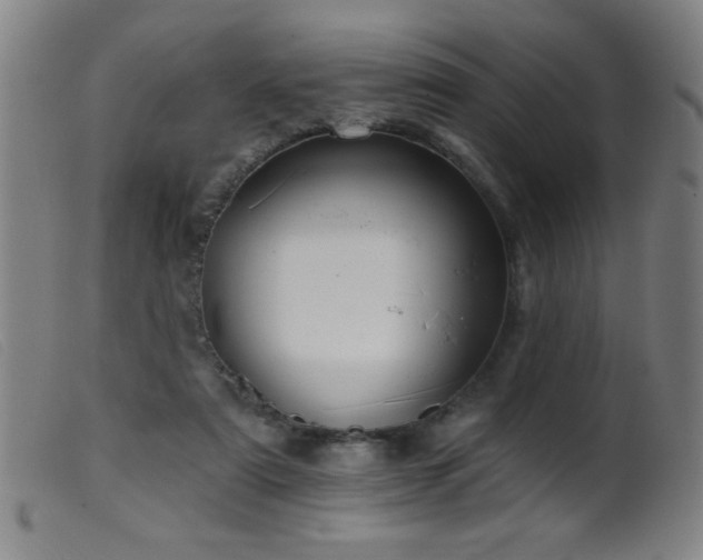 X0000099540307200805161434