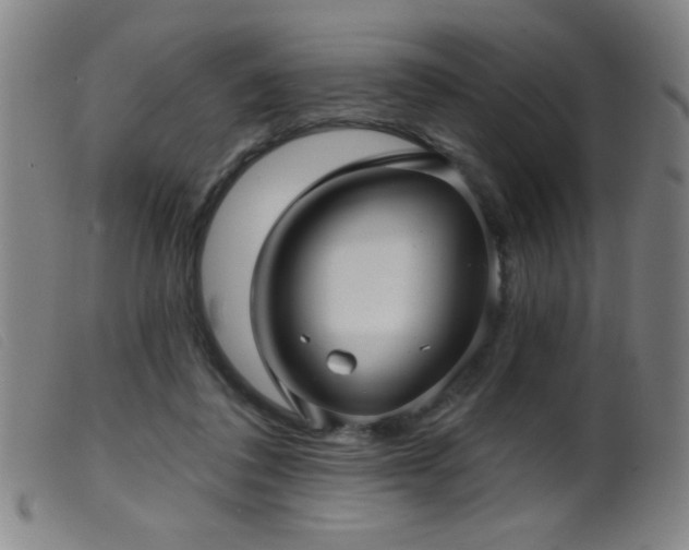 X0000099540308200805161434