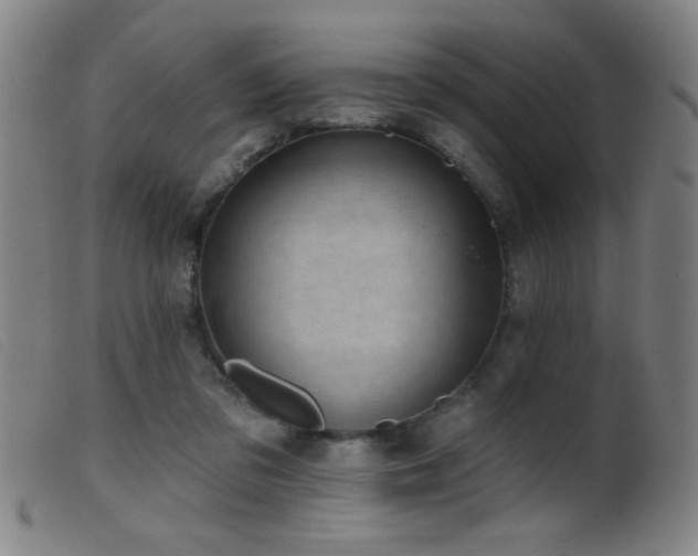 X0000099540309200805161434