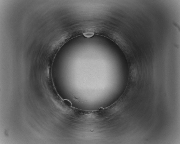 X0000099540310200805161434