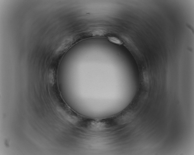 X0000099540311200805161434