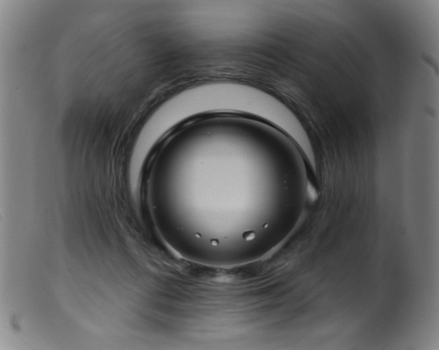 X0000099540312200805161434