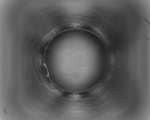 X0000099540313200805161434