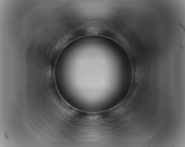 X0000099540314200805161434