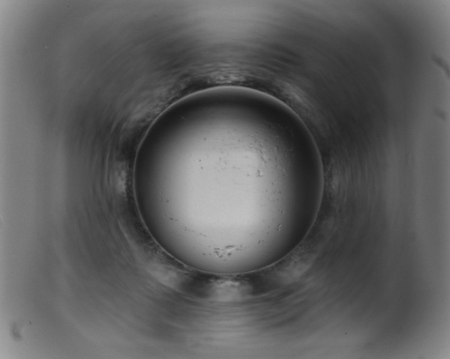 X0000099540315200805161434