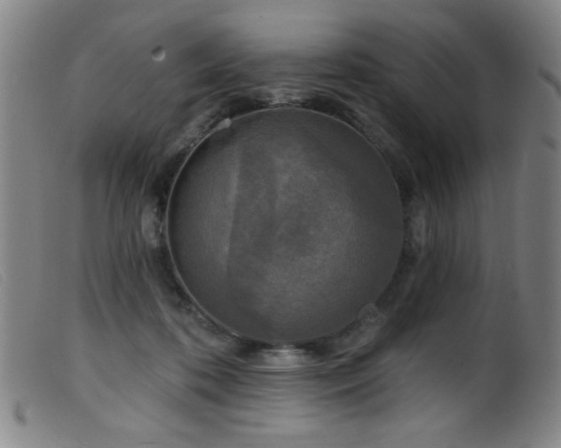 X0000099540316200805161434