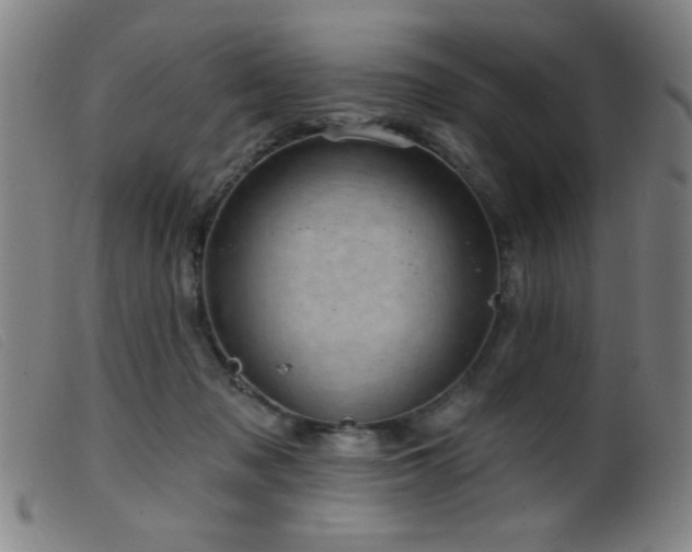 X0000099540317200805161434