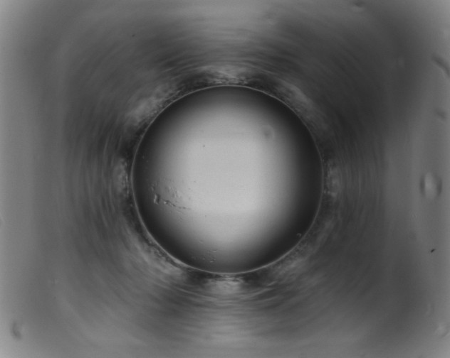 X0000099540318200805161434