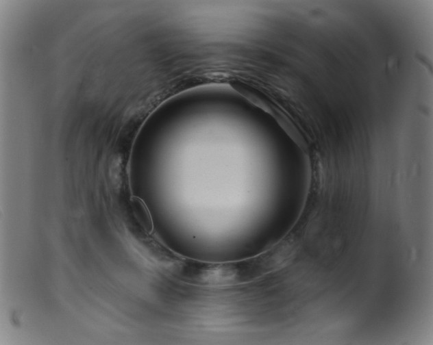 X0000099540319200805161434