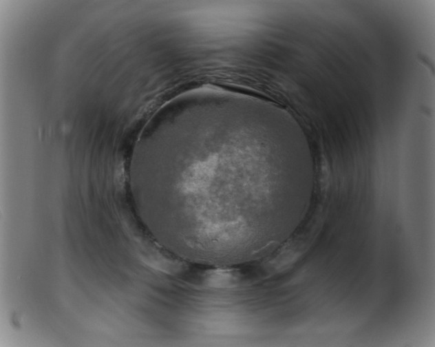 X0000099540320200805161434