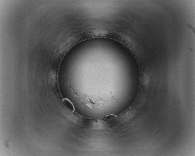 X0000099540321200805161434