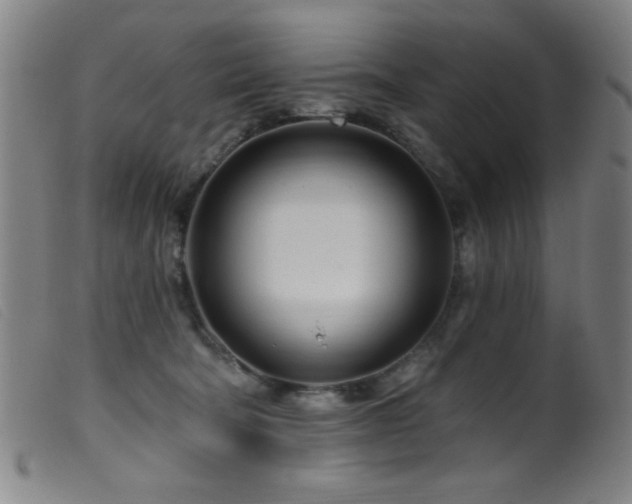 X0000099540322200805161434