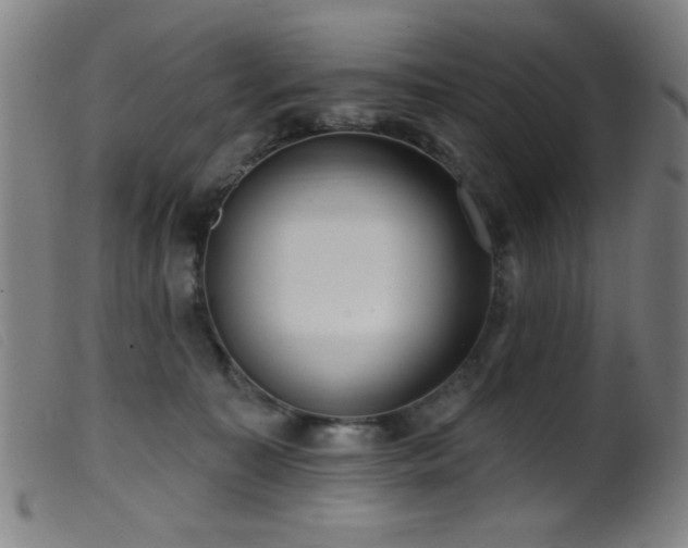 X0000099540323200805161434