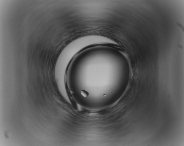 X0000099540324200805161434