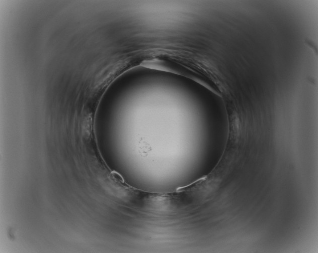 X0000099540325200805161434