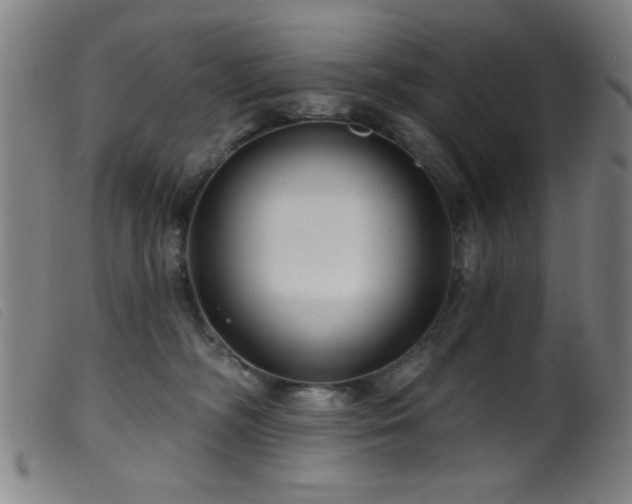 X0000099540326200805161434