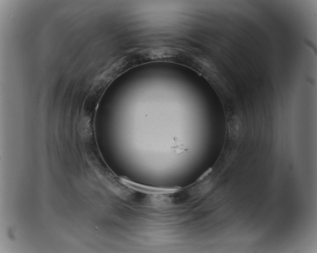 X0000099540327200805161434