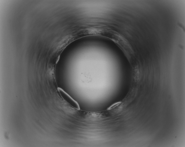 X0000099540329200805161434