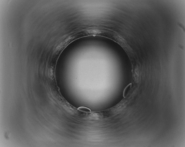 X0000099540330200805161434