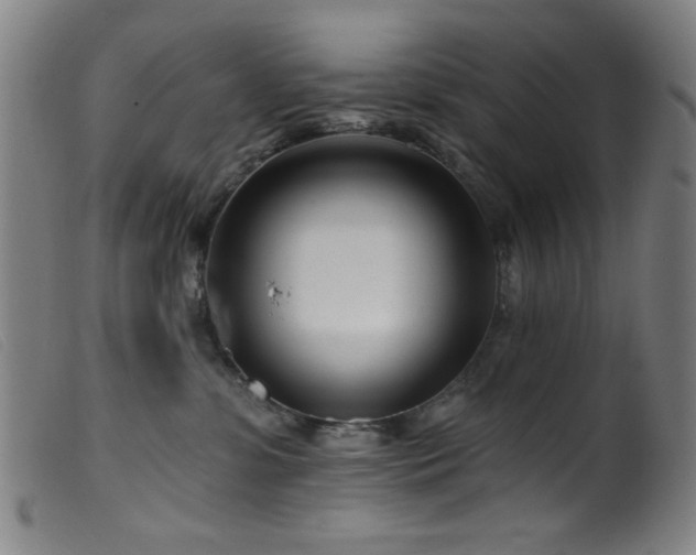 X0000099540331200805161434