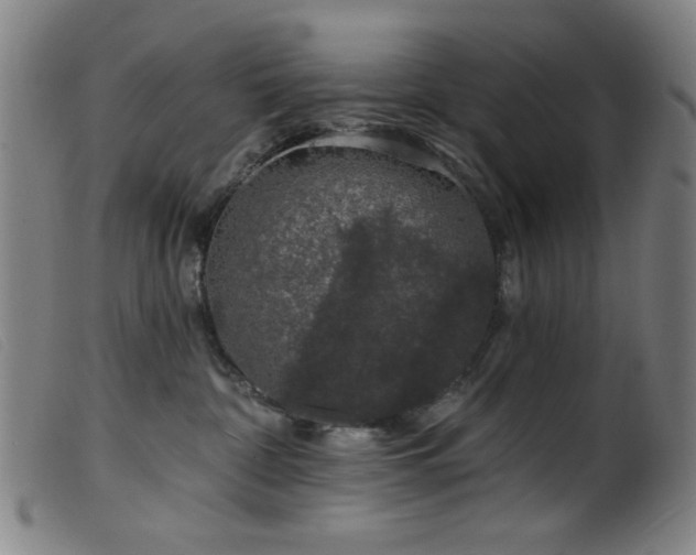 X0000099540332200805161434