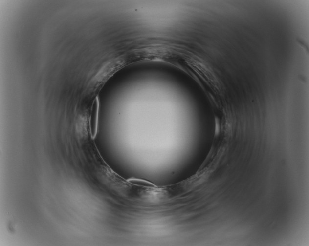 X0000099540333200805161434