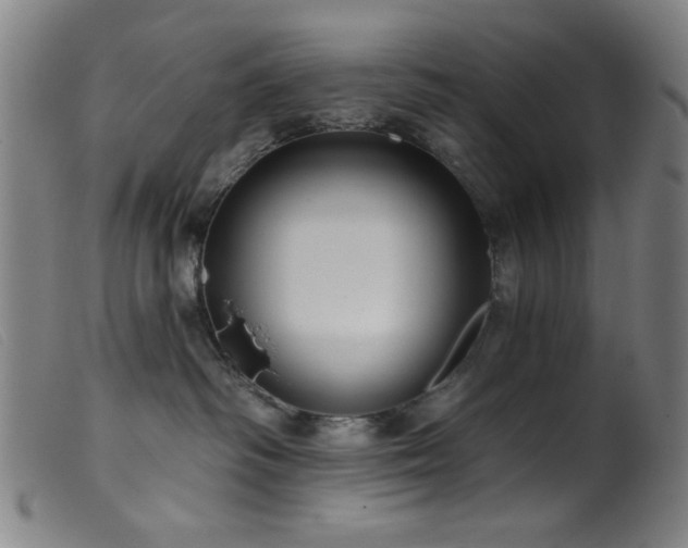 X0000099540334200805161433