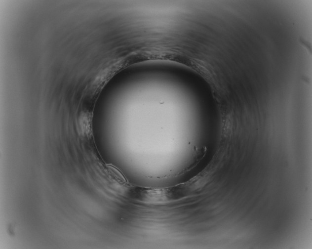 X0000099540335200805161433