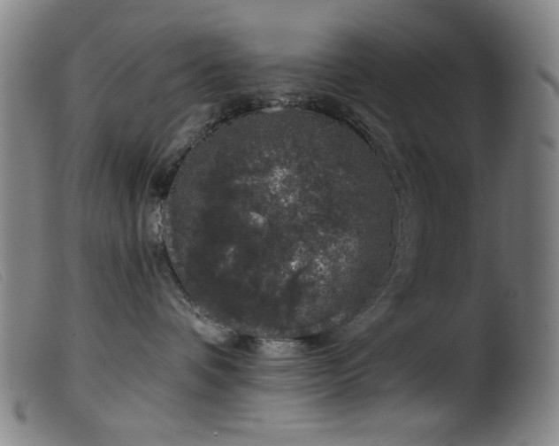 X0000099540336200805161433