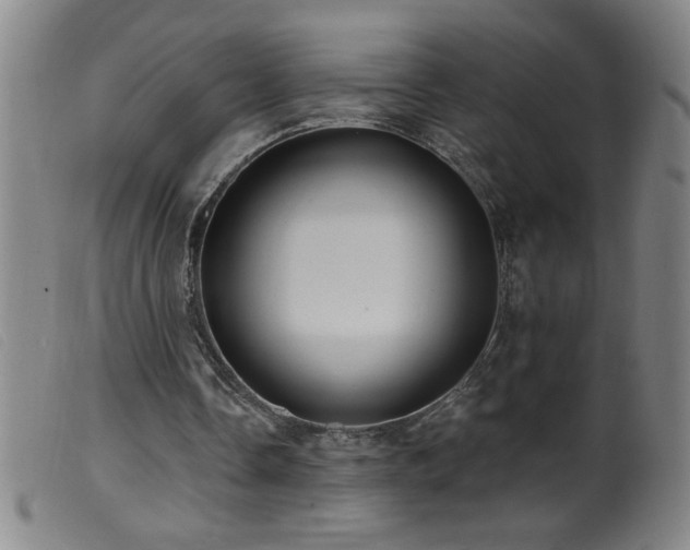 X0000099540338200805161433